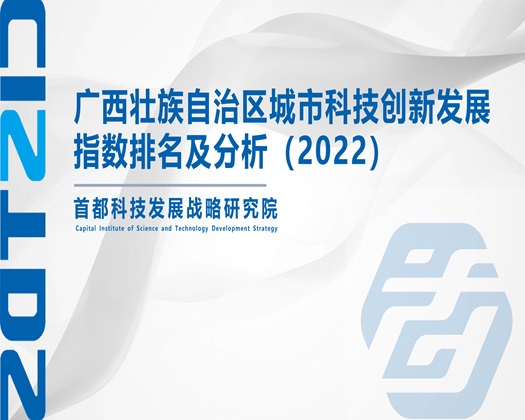 骚逼逼电影网【成果发布】广西壮族自治区城市科技创新发展指数排名及分析（2022）